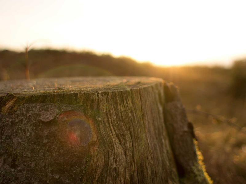 accessibility screenshot 2